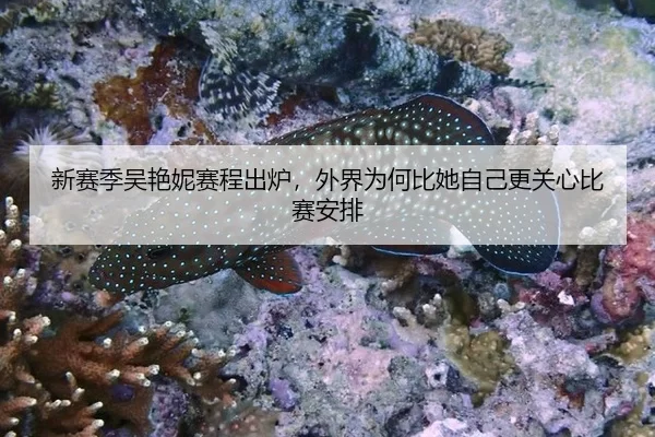 新赛季吴艳妮赛程出炉，外界为何比她自己更关心比赛安排